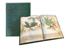 Segreti e virtù delle erbe – Erbario mediceo